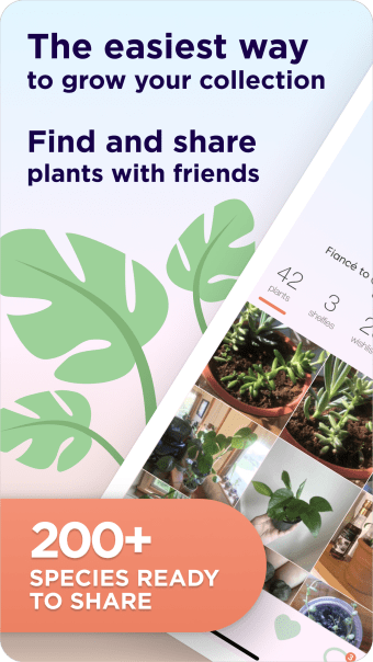 Prōpa - Find Rare Houseplants