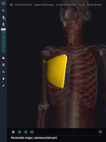 3D motion anatomy teamLabBody