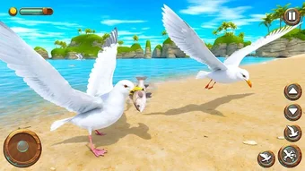 Seagull Bird Life Simulator