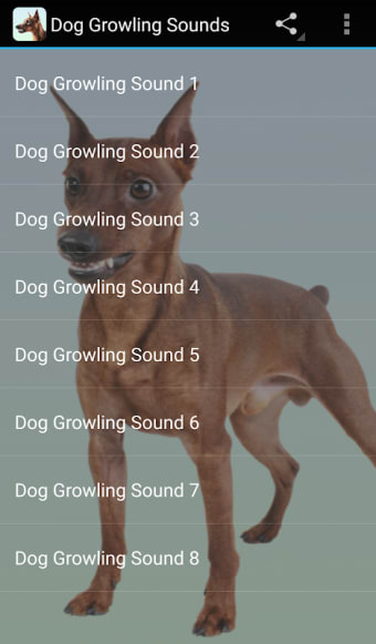 Dog Growling Sounds