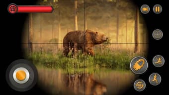 Wild Animal Hunting: Hunt Game