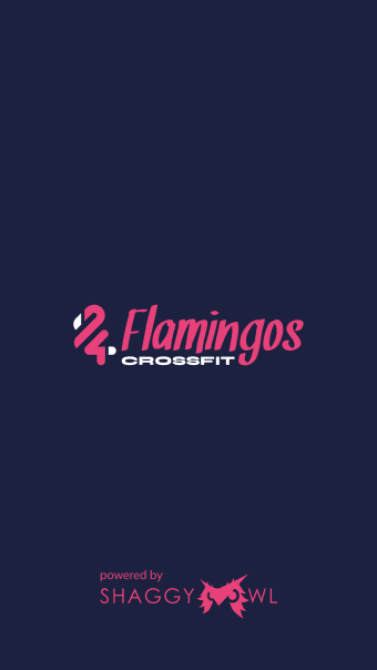 4 Flamingos CrossFit