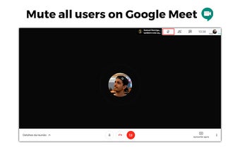Mute All on Meet