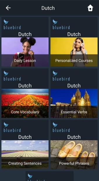 Learn Dutch. Speak Dutch. Study Dutch.