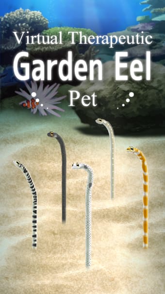Garden Eel Pet