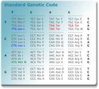 Genetic Code Widget