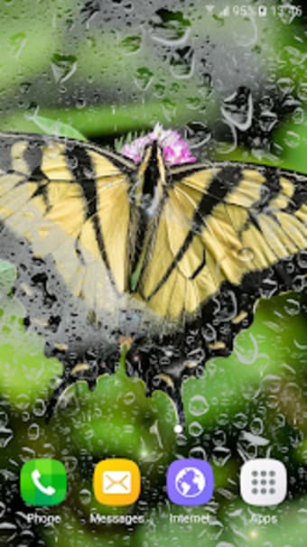 Macro Butterfly Live Wallpaper