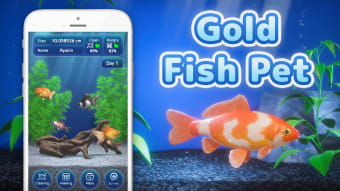 Gold Fish Pet