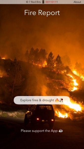Wildfire Report