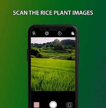 Rice Disease Snap