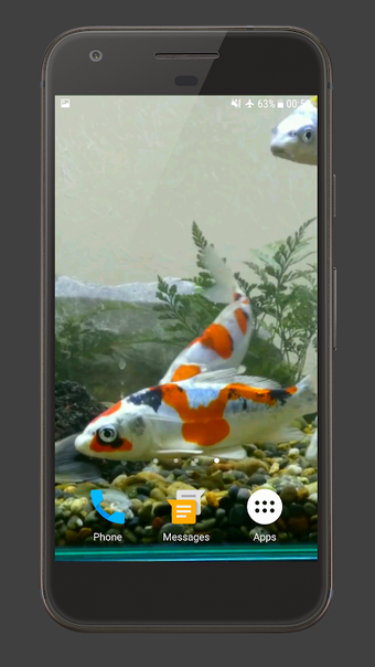 Koi Fish Tank Video Wallpaper