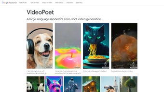 VideoPoet by Google