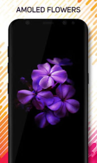 Amoled Pro Wallpapers