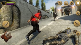 Creed Ninja Assassin Hero
