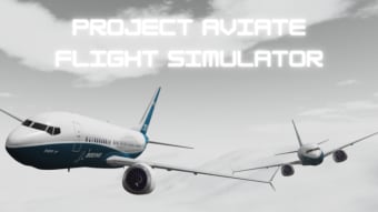 Project Aviate Flight Simulator