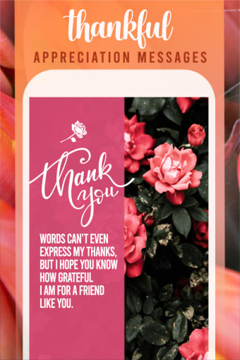 Thank You and Appreciation Cards