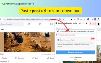 Comments Exporter for FB