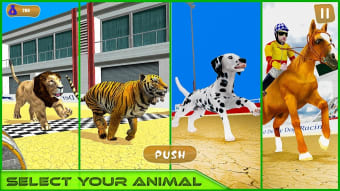Wild Animal Racing Games 3d