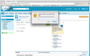 Salesforce User Search
