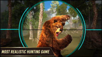 Animal hunting games