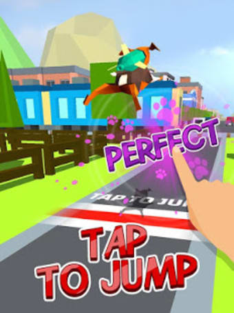 Fetch - The Jetpack Jump Dog Game