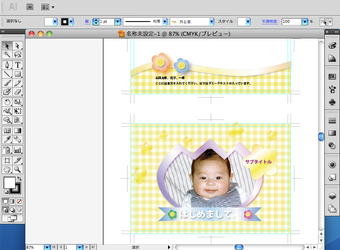 Adobe Illustrator9.0 forMac 日本語版
