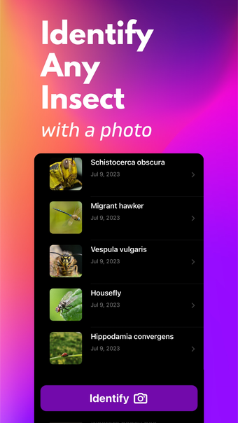 Bug Identifier