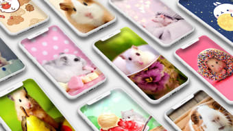 Cute Hamster Wallpapers