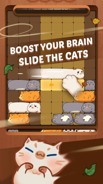 Coco Slide Cats Puzzle