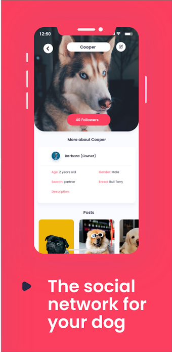 MatchDog - Playdates and friends for your pup