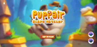 PupPair: Shape Matcher
