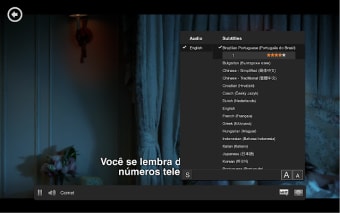 Netflix Subtitles Automatic (beta)