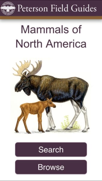 Peterson Mammals Field Guide