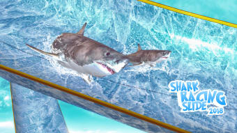 Shark Slide Racing 2018