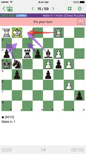 Mate in 1 move Chess Puzzles