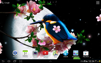 Sakura and Bird Live Wallpaper