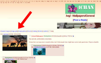 4chan / 4channel image view