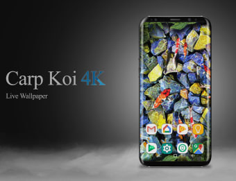 Carp Koi fish live wallpaper 4K resolution free