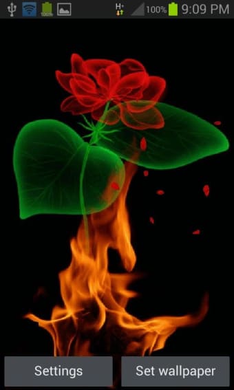 Fiery Rose Magic LWP