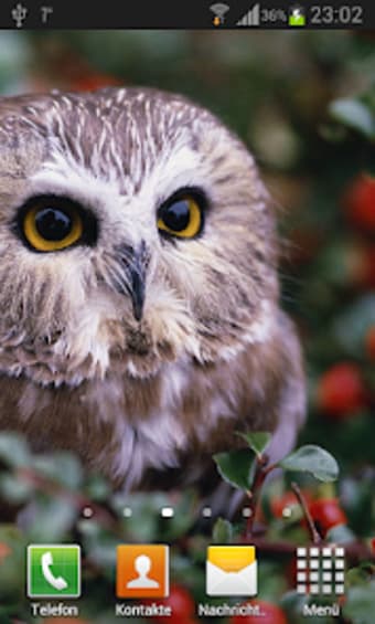 Owls Live Wallpaper