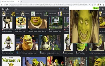 Shrek Gifs