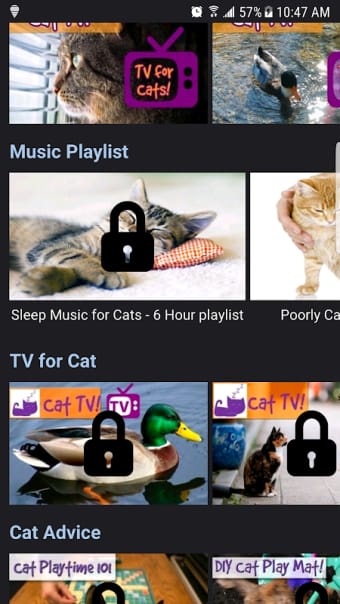 Relax My Cat - Relaxing Music and TV for Cats