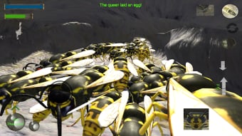 Wasp Nest Simulator Full