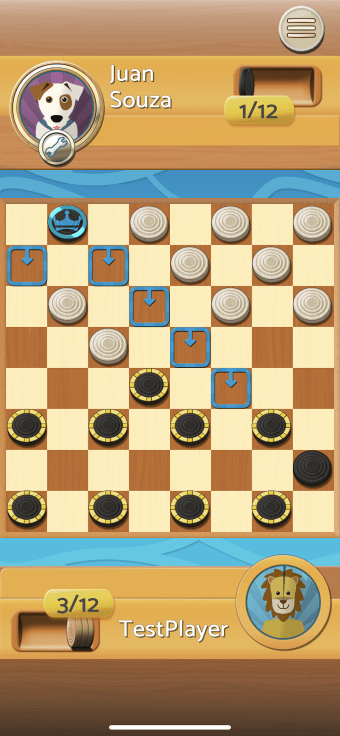 Checkers - Draughts Multiplayer Board Game