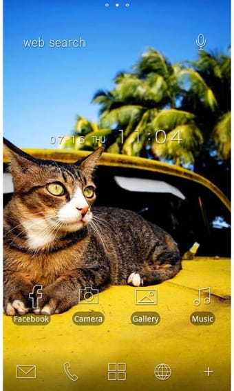 Cute Theme-Cat on a Car-