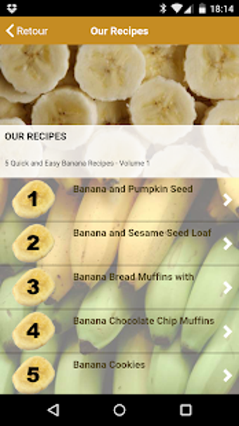 Banana Bread Recipes Volume 1