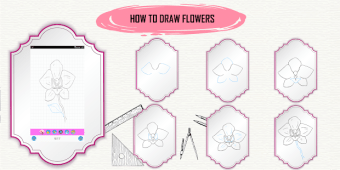 Learn How to Draw Flowers Step by Step