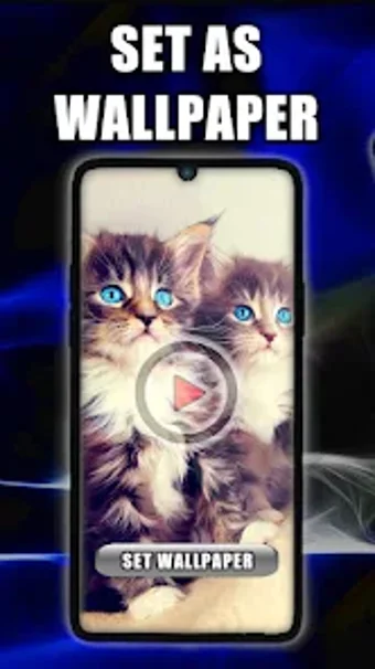 Cats Live Wallpaper