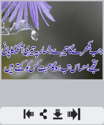 Ishq Shayari عشق شاعری