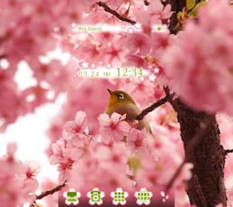 Bird  Cherry Blossoms Theme